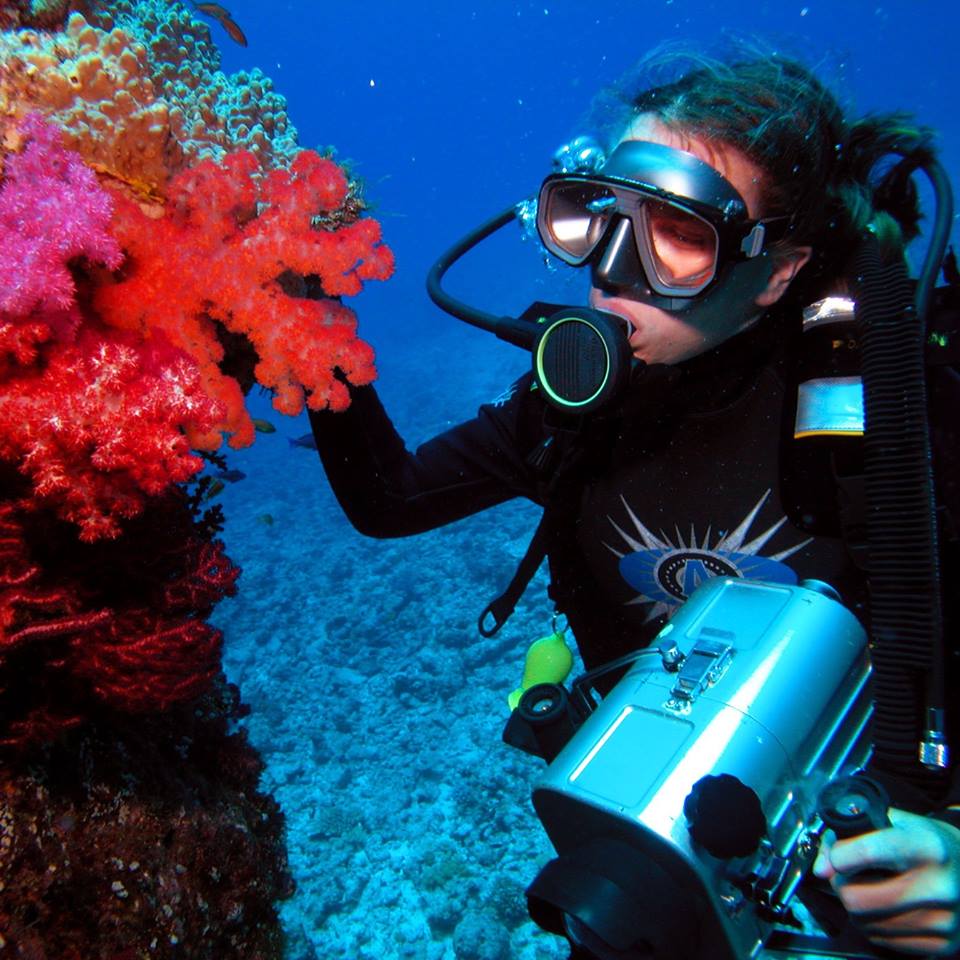 Sunlight falling through clear blue water onto a coral reef